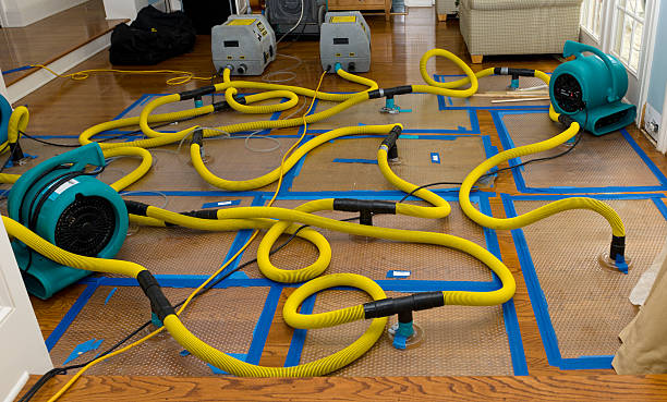 Professional Sewage Cleanup technician working in Truxton, MO